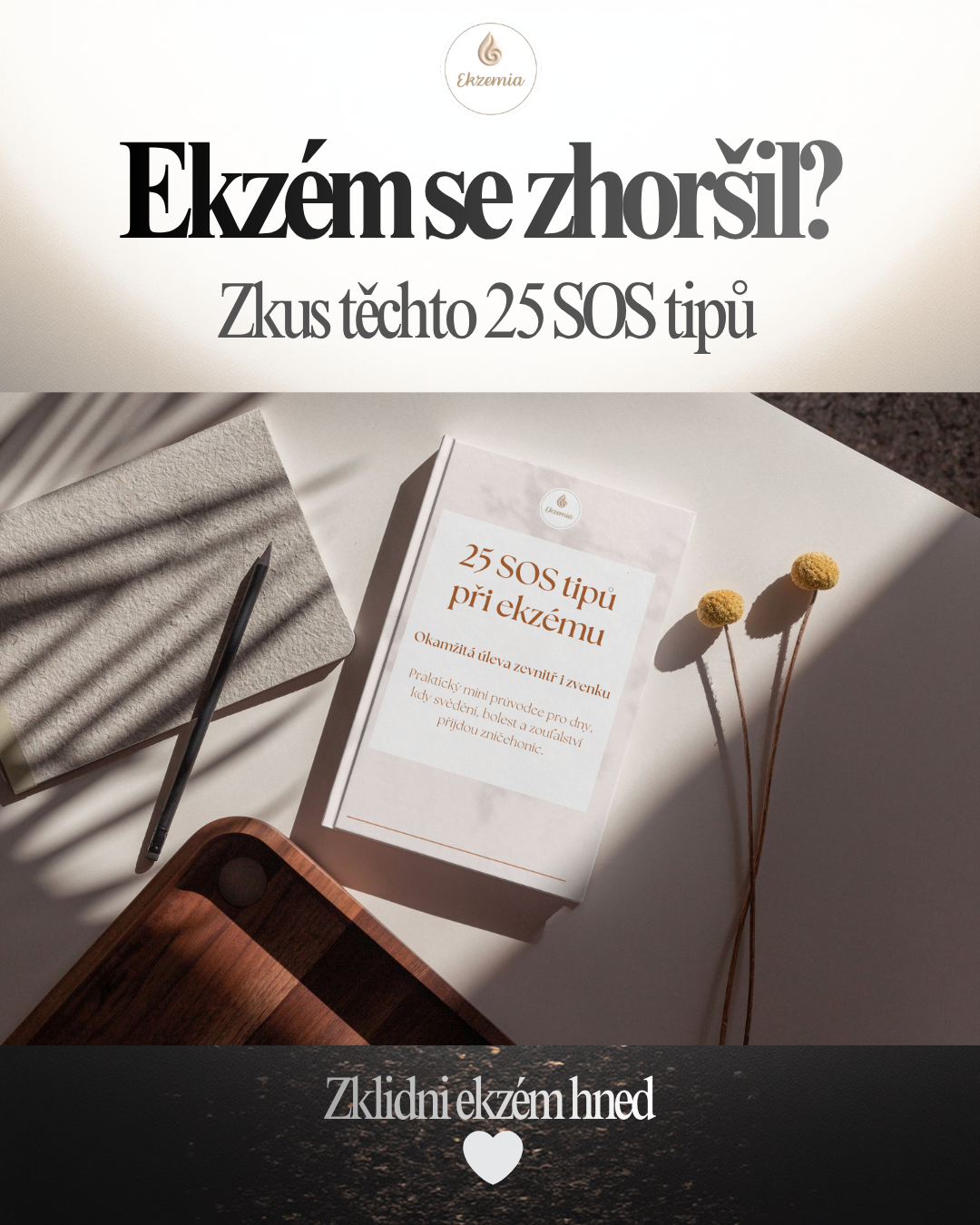 Propagační příspěvek